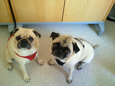 Benjamin & Henry Waiting for Dinner