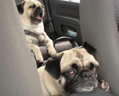 Benjamin and Henry in the car