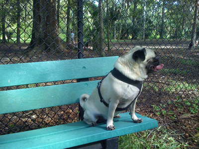 Henry sitting on the bench