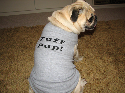 Benjamin in his Tuff Pup shirt