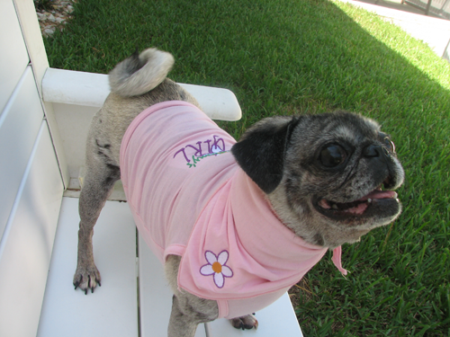 Luna in her Mommy's Girl t-shirt