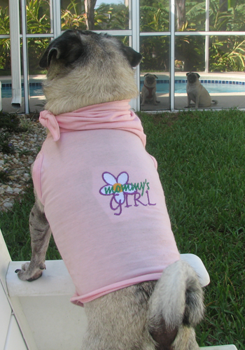 Luna in her Mommy's Girl t-shirt