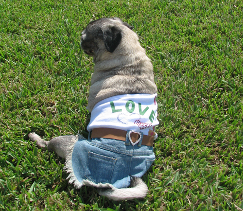 Luna  in her Love Denim dress