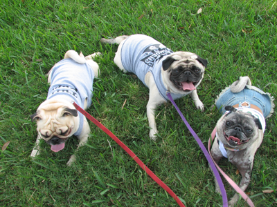 Benjamin, Henry & Luna at the Fashion Show