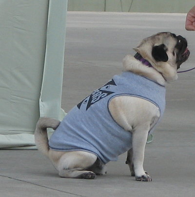 Henry on the catwalk