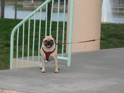 Benjamin on the catwalk