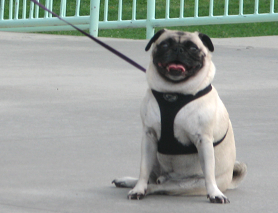 Henry on the catwalk