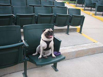 Henry in the audience