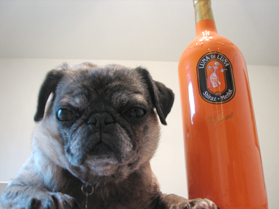 Luna posing with the Luna di Luna wine bottle