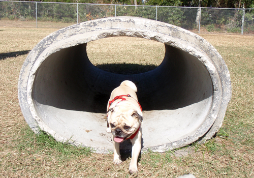 Benjamin in the tunnel