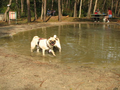 Benjamin & Henry enjoy the pond