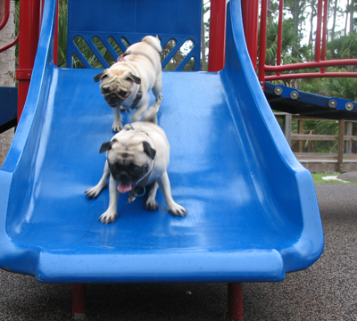 Benjamin and Henry on the slide