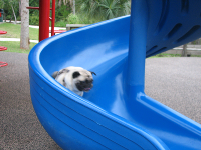 Henry on the twisty slide