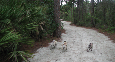 The gang on the trails