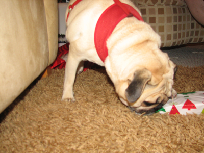 Benjamin opening presents