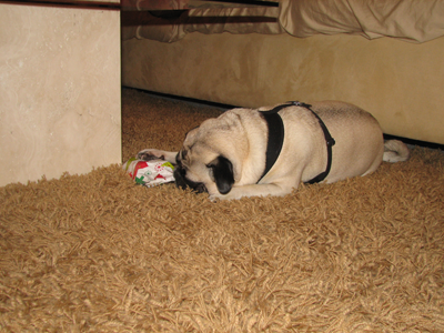 Henry opening presents