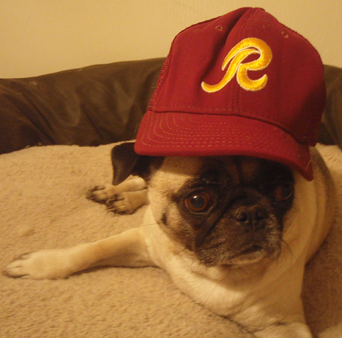 Henry the happy Redskins fan