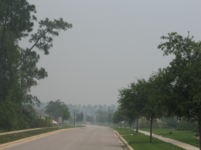 Smoke from the wildfire