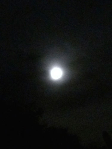 Super Moon