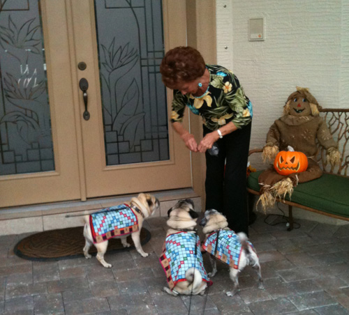 Benjamin, Henry and Luna Trick or Treating