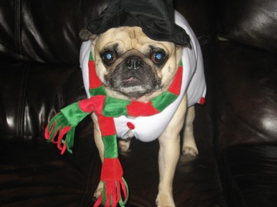 Rosco as Rossy the Snowman