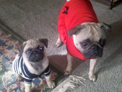 Mother & Son Decked Out