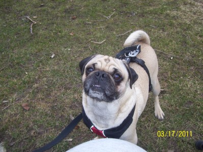 First day at the park