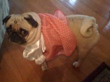 Chloe playing dress up.