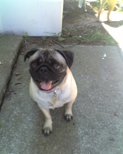 Tasha at the cabin