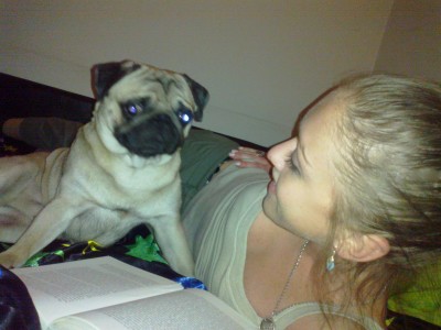 Pug reading