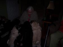 pugs love gramma