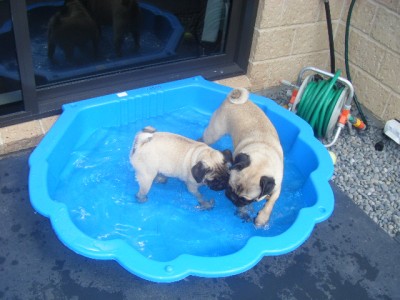 Swimming in the babys pool