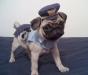 Officer pugsy