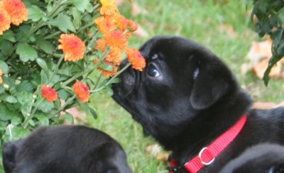 Stop and smell the flowers