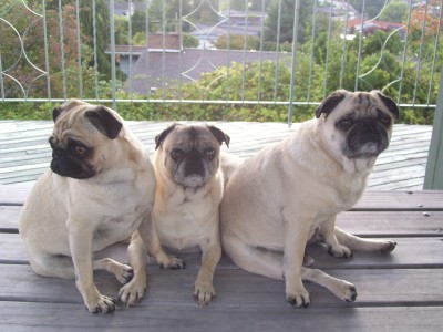 Three Little Clowns