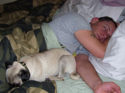 Sleeping puggy and daddy