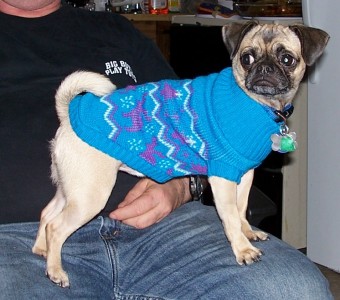 New Sweater