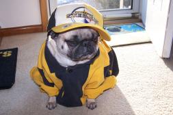 Go Steelers