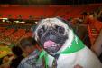 Winston at the Marlin's game