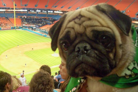 Winston at the Marlin's game