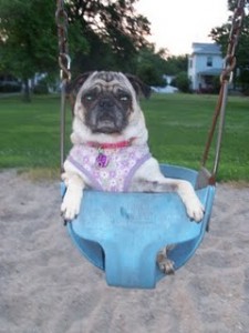 Zoe at the Park