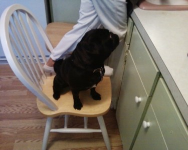 helpin with the dishes