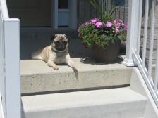 sunbath on the porch