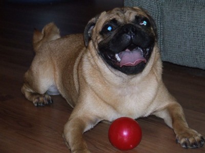 LOVES HIS BALL