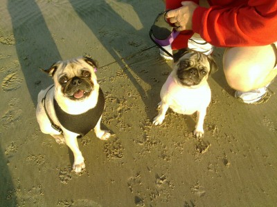 beach play