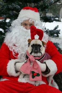 Brandy & Santa - 2010