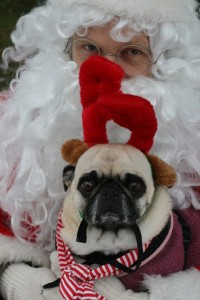 Brandy & Santa - 2010