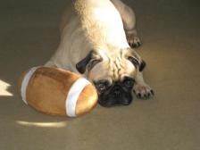 Lemmy and his football