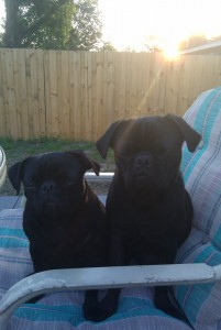 Dinner on the Porch!