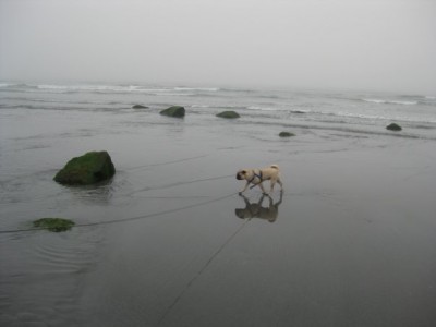 York Beach, Maine 2009